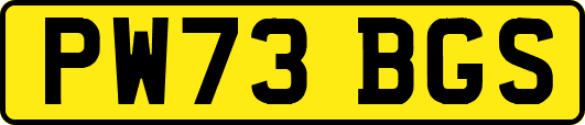 PW73BGS
