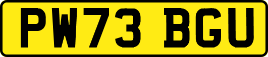 PW73BGU