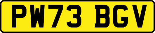 PW73BGV