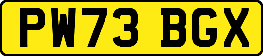 PW73BGX