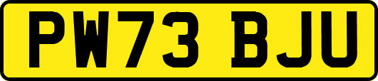 PW73BJU