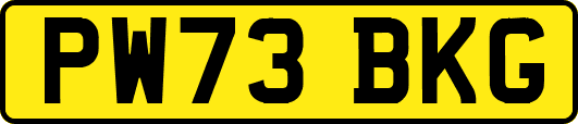 PW73BKG