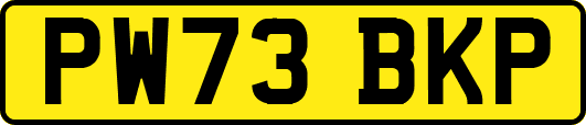 PW73BKP