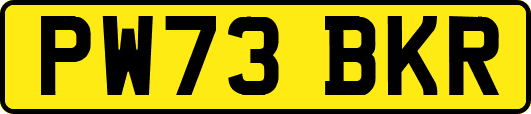 PW73BKR