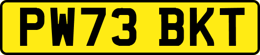 PW73BKT