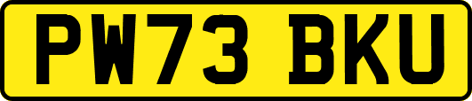 PW73BKU