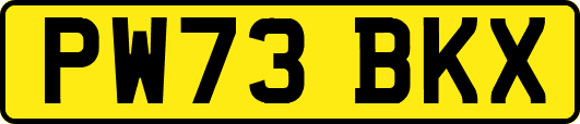 PW73BKX