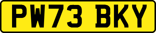PW73BKY