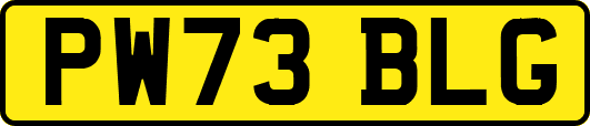 PW73BLG