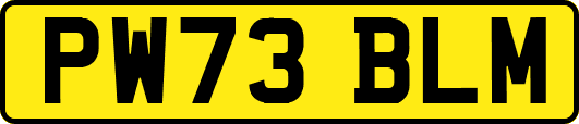 PW73BLM