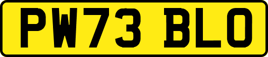 PW73BLO