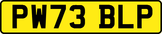 PW73BLP