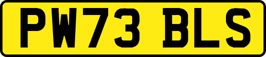 PW73BLS