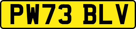 PW73BLV