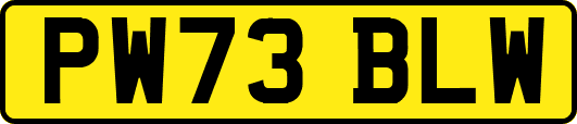 PW73BLW