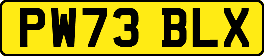 PW73BLX