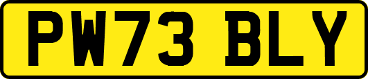 PW73BLY