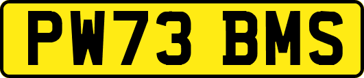 PW73BMS