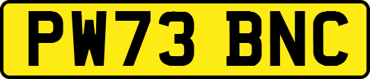 PW73BNC