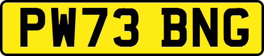 PW73BNG