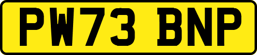 PW73BNP