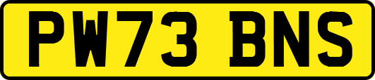 PW73BNS