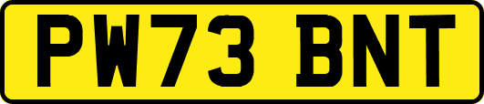 PW73BNT