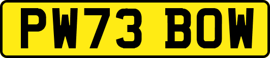 PW73BOW