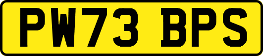 PW73BPS
