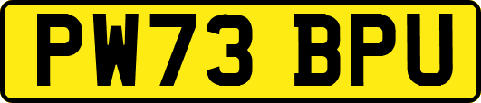 PW73BPU