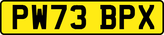 PW73BPX