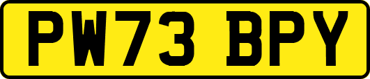 PW73BPY