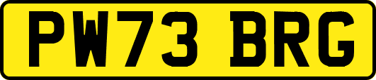 PW73BRG