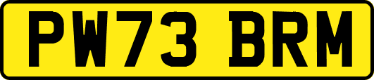 PW73BRM