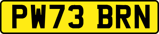 PW73BRN
