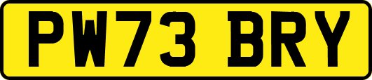PW73BRY