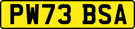 PW73BSA