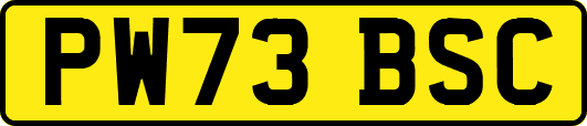 PW73BSC