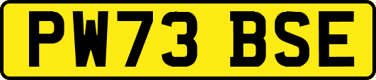 PW73BSE