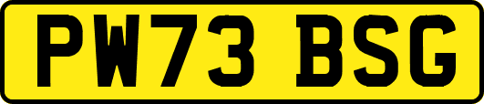 PW73BSG
