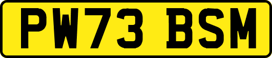 PW73BSM