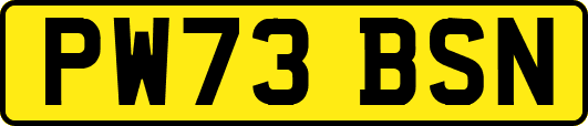 PW73BSN