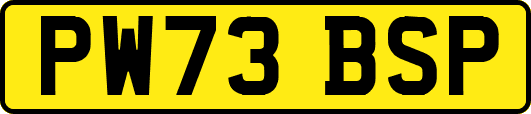 PW73BSP