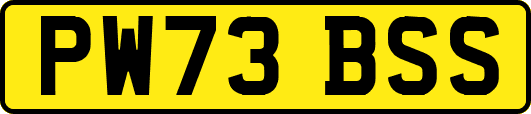 PW73BSS
