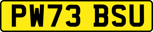 PW73BSU