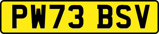 PW73BSV