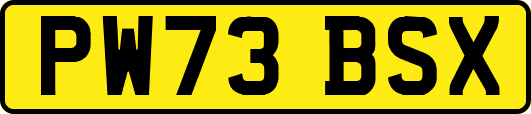 PW73BSX