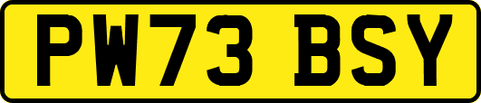 PW73BSY