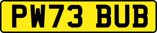 PW73BUB