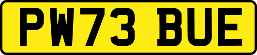 PW73BUE